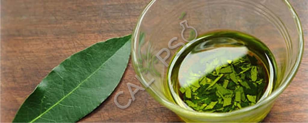 Aceite de especias de la hoja de laurel